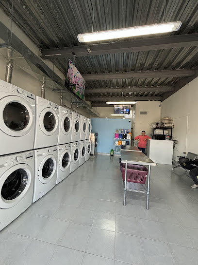 Central De Lavado Laguna Suc. Las Torres lavandería