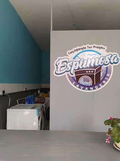 Espumosa Lavandería lavandería
