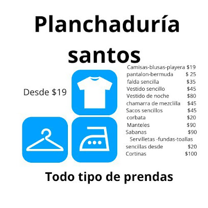 Lavado De Calzado, Lavado De Accesorios De Mascotas Y Planchaduria. 