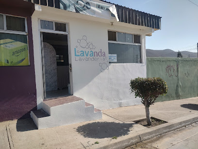 Lavanda Lavandería lavandería