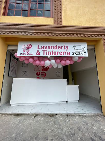 Lavanderia Dami Clean Sucursal San Martin lavandería