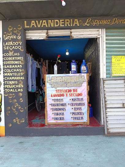 Lavandería Espuma Dorada lavandería