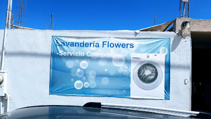 Lavanderia Flowers lavandería