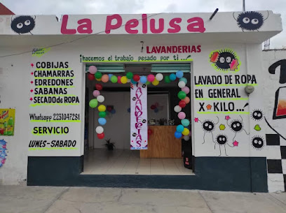 Lavandería La Pelusa lavandería
