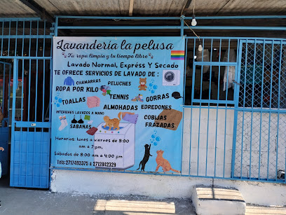 Lavandería La Pelusa lavandería