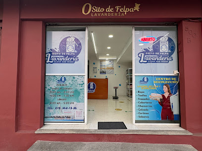 Lavandería Osito De Felpa Recolección lavandería