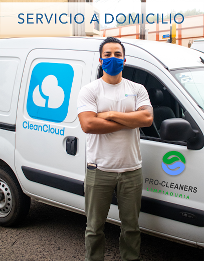 Limpiaduria Pro Cleaners Express lavandería