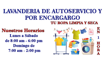 Luna Clean. Servicio Y Comodidad Como En Tu Hogar. lavandería