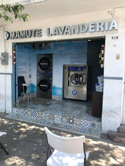 Mamute Lavandería Autoservicio lavandería