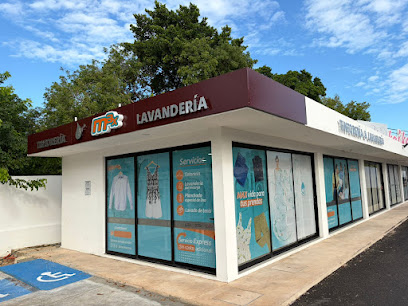 Max Tintorer&iacute;a Y Lavander&iacute;a &ndash; Temoz&oacute;n lavander&iacute;a