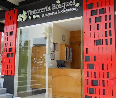 Tintorería Bosques - Bosque Real lavandería