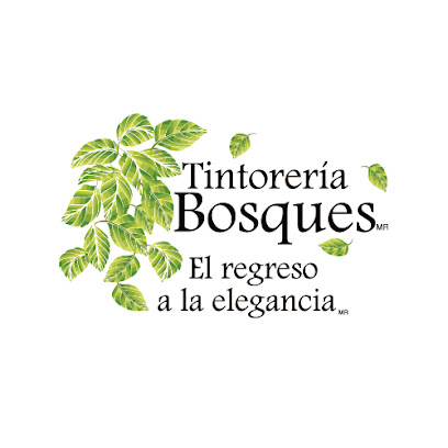 Tintorería Bosques Vidalta (Acceso Privado) lavandería